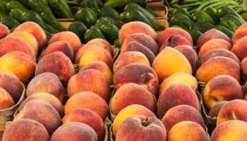 Explore the City of Forsyth and its Farmers Market!